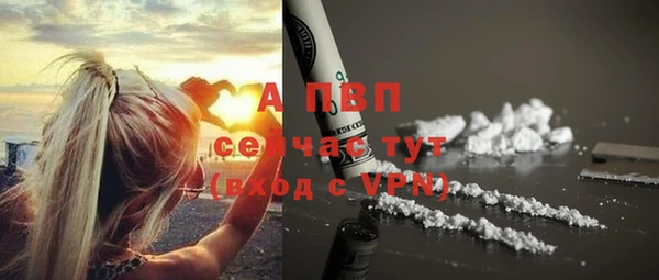 мескалин Богданович
