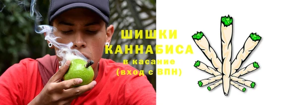 apvp Белокуриха