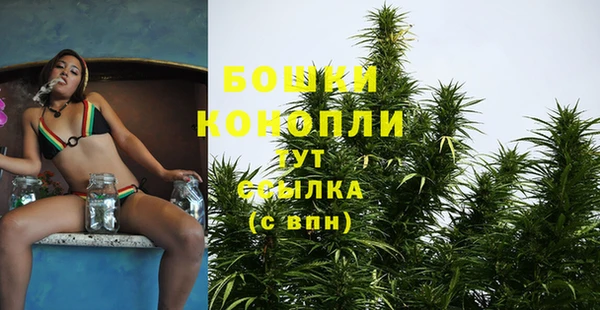 стафф Богородск
