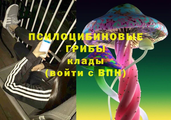 ешки Богородицк