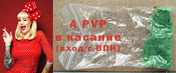 мескалин Богданович